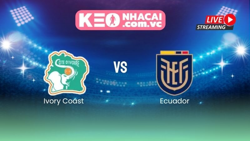 hận định Ivory Coast vs Ecuador: Voi rừng tái xuất sau 12 năm chờ đợi